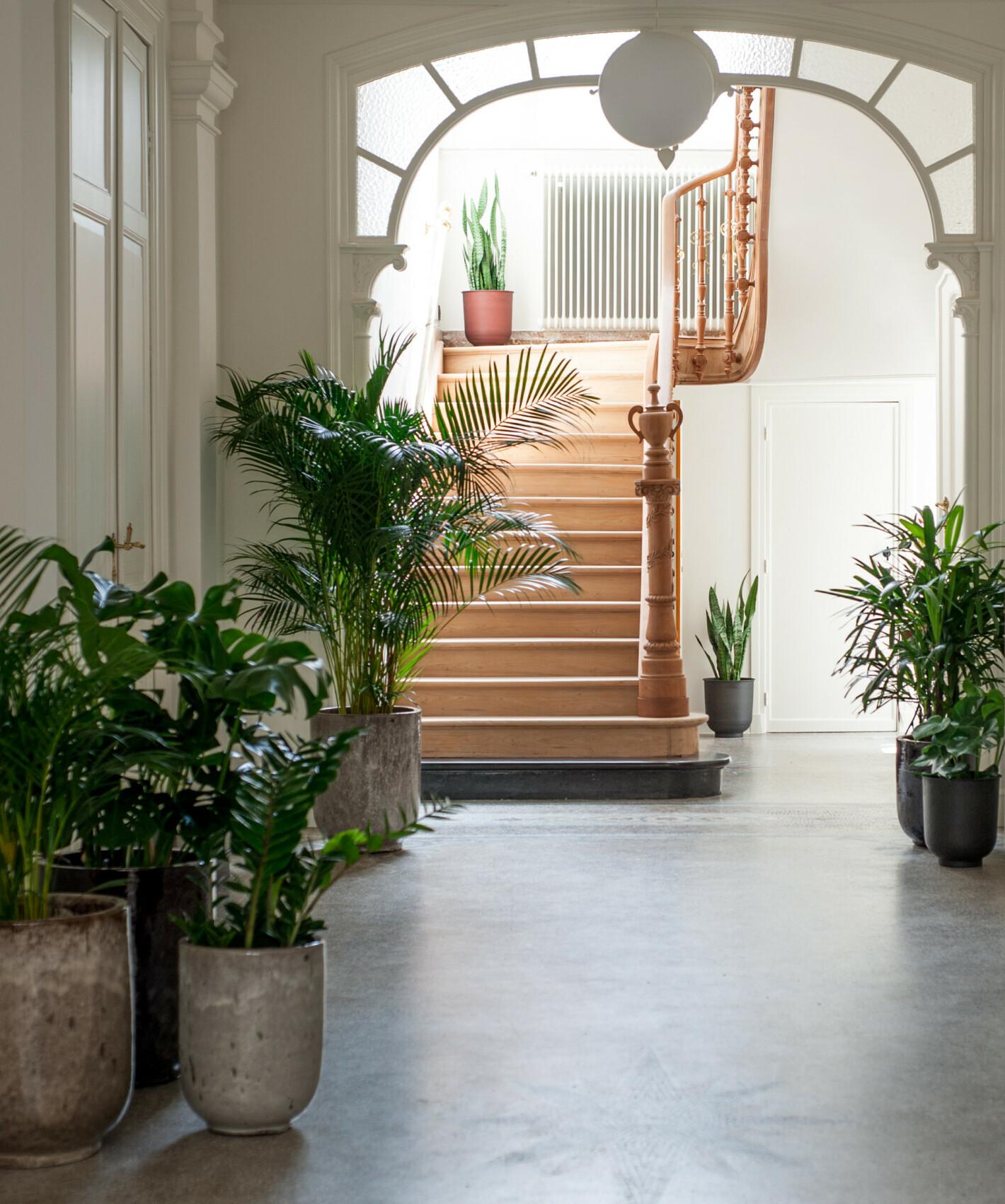 B'Guest Sleep & Retreat Bed & Breakfast Bruges Exterior photo